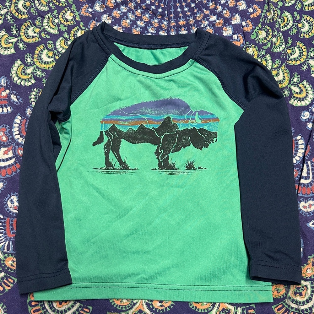 Patagonia Kids Green and Navy Long Sleeve capilene Shirt